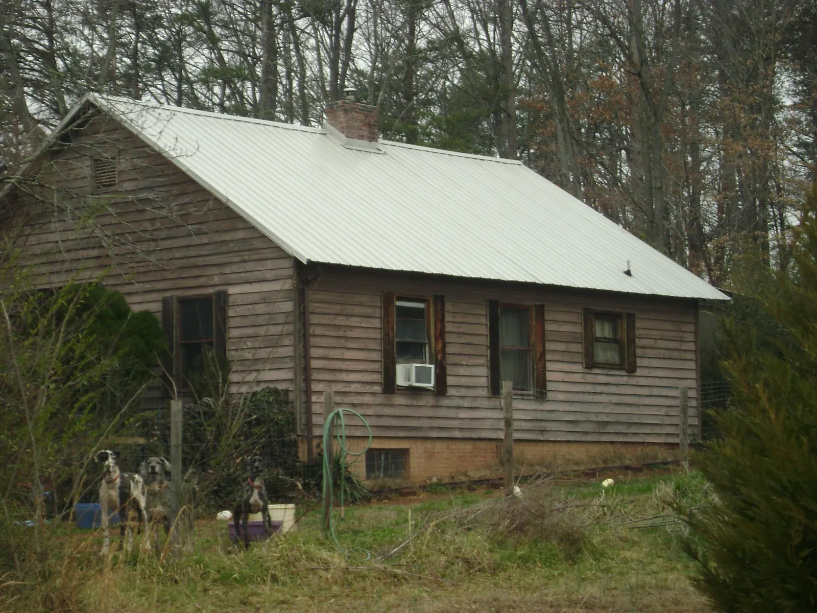 White metal roof on an old wood sided farmhouse, from a Asphalt Shingle Roof Repair job in Coal Valley